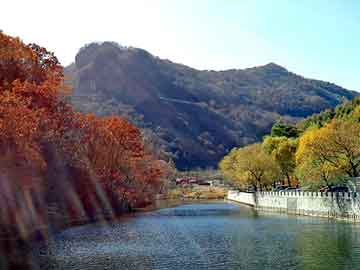 新澳门二四六天天彩，天津排水板